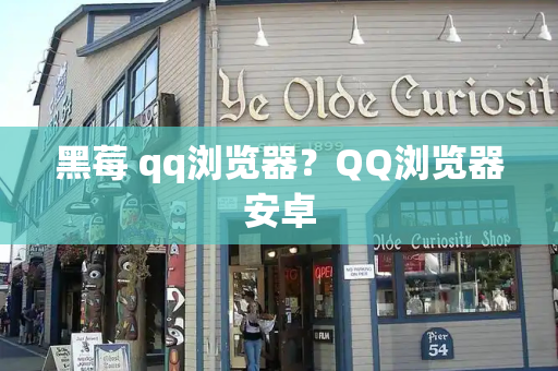 黑莓 qq浏览器？QQ浏览器安卓