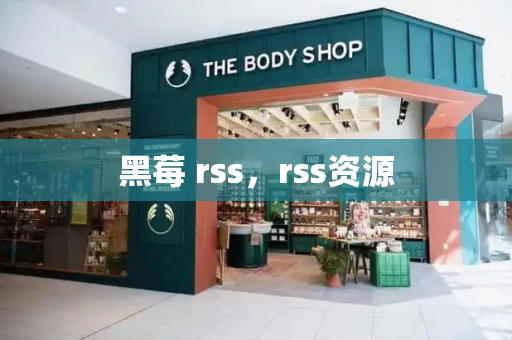 黑莓 rss，rss资源-第1张图片-星选测评