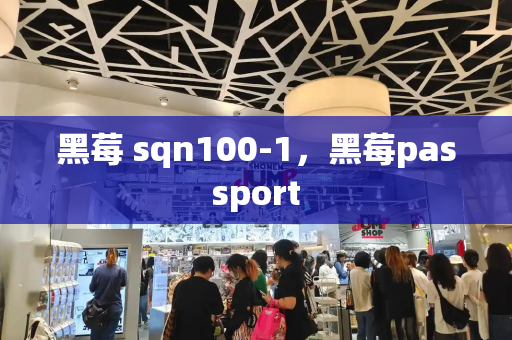 黑莓 sqn100-1，黑莓passport