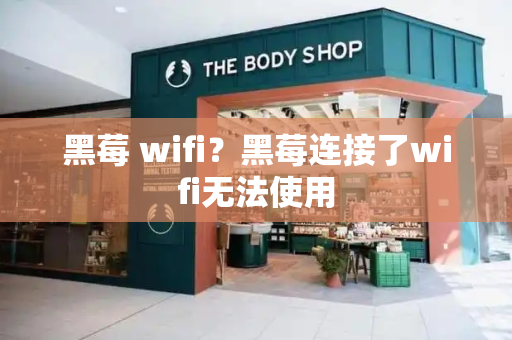 黑莓 wifi？黑莓连接了wifi无法使用-第1张图片-星选测评