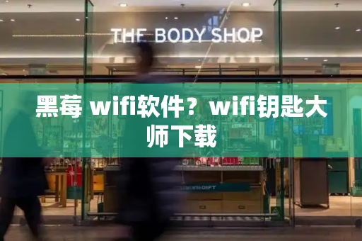 黑莓 wifi软件？wifi钥匙大师下载