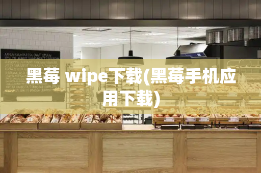 黑莓 wipe下载(黑莓手机应用下载)-第1张图片-星选测评