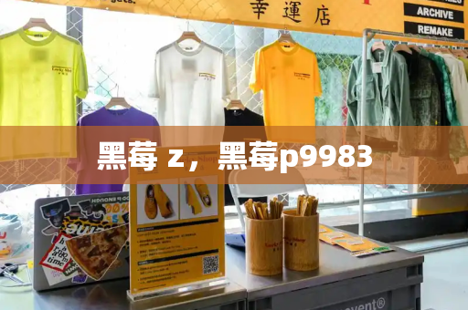 黑莓 z，黑莓p9983-第1张图片-星选测评