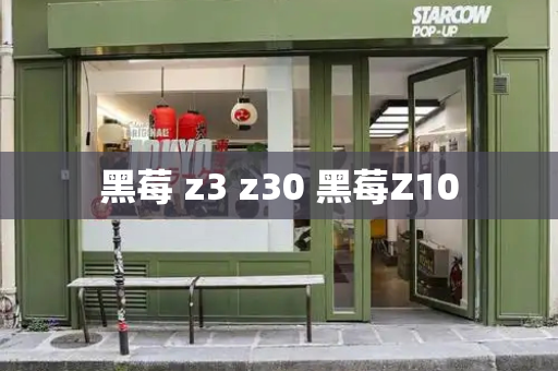 黑莓 z3 z30 黑莓Z10-第1张图片-星选测评