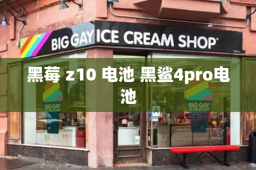 黑莓 z10 电池 黑鲨4pro电池-第1张图片-星选测评