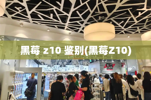 黑莓 z10 鉴别(黑莓Z10)-第1张图片-星选测评