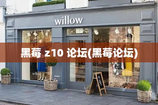 黑莓 z10 论坛(黑莓论坛)