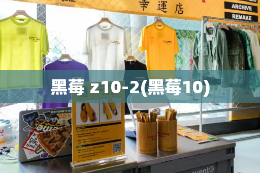 黑莓 z10-2(黑莓10)