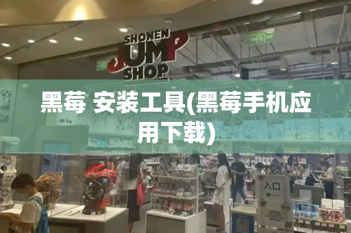 黑莓 安装工具(黑莓手机应用下载)