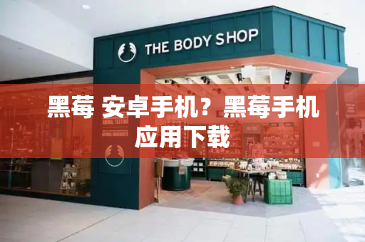 黑莓 安卓手机？黑莓手机应用下载