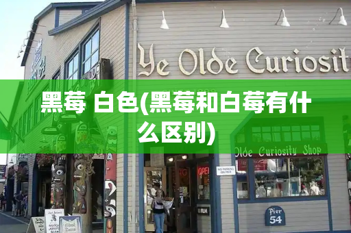 黑莓 白色(黑莓和白莓有什么区别)-第1张图片-星选测评