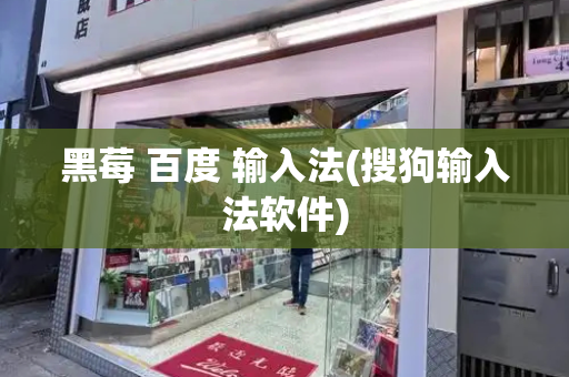 黑莓 百度 输入法(搜狗输入法软件)