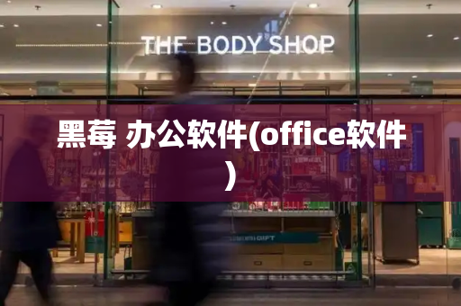 黑莓 办公软件(office软件)-第1张图片-星选测评
