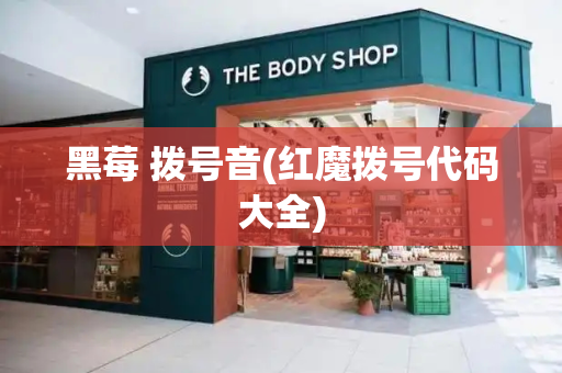黑莓 拨号音(红魔拨号代码大全)