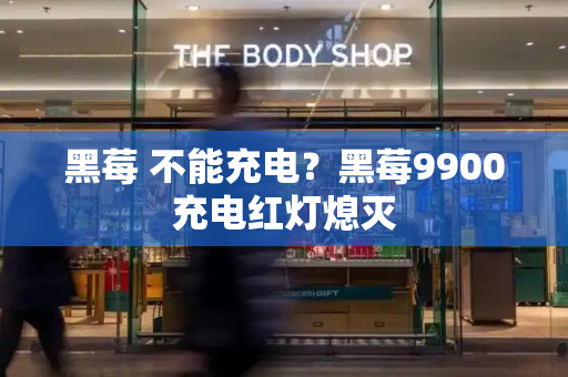 黑莓 不能充电？黑莓9900充电红灯熄灭