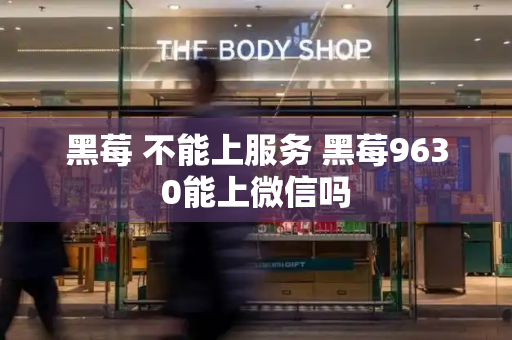 黑莓 不能上服务 黑莓9630能上微信吗