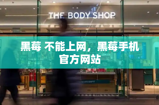 黑莓 不能上网，黑莓手机官方网站