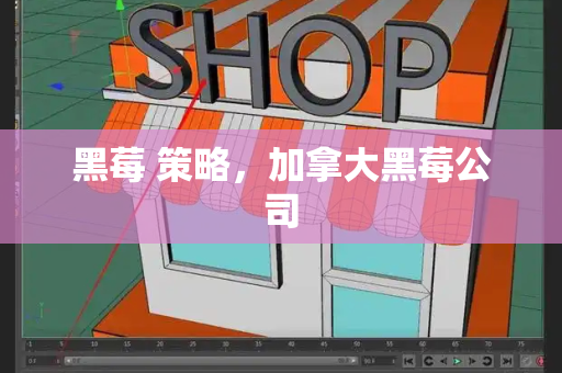 黑莓 策略，加拿大黑莓公司