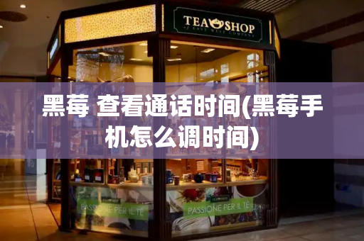 黑莓 查看通话时间(黑莓手机怎么调时间)-第1张图片-星选测评