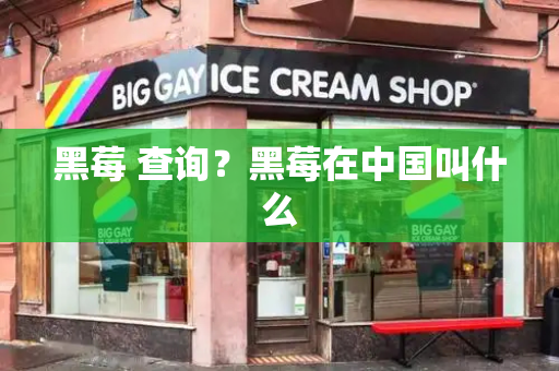 黑莓 查询？黑莓在中国叫什么-第1张图片-星选测评