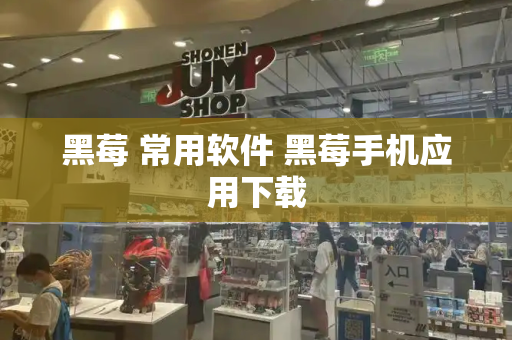 黑莓 常用软件 黑莓手机应用下载