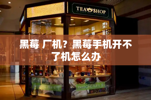 黑莓 厂机？黑莓手机开不了机怎么办-第1张图片-星选测评