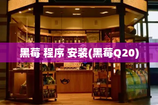 黑莓 程序 安装(黑莓Q20)-第1张图片-星选测评