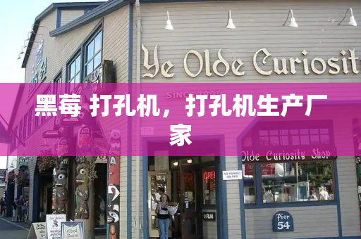 黑莓 打孔机，打孔机生产厂家