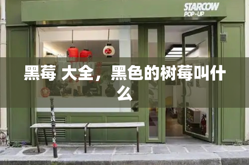 黑莓 大全，黑色的树莓叫什么