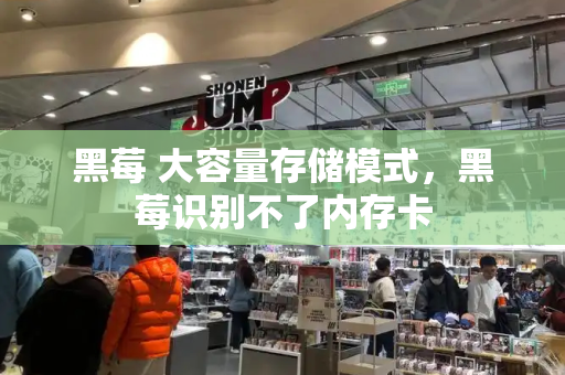 黑莓 大容量存储模式，黑莓识别不了内存卡