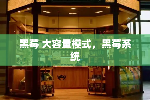 黑莓 大容量模式，黑莓系统