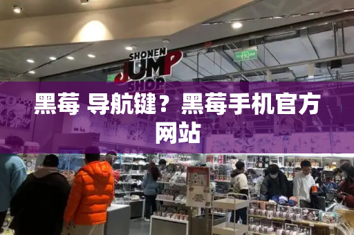黑莓 导航键？黑莓手机官方网站-第1张图片-星选测评