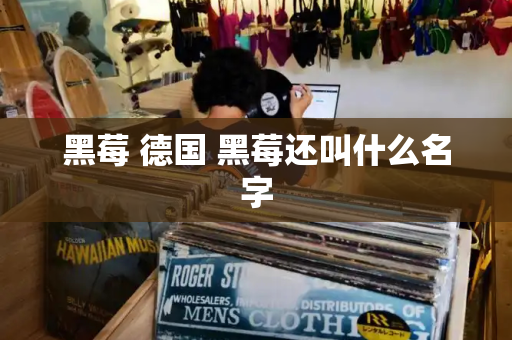 黑莓 德国 黑莓还叫什么名字