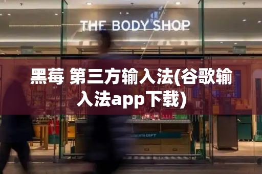 黑莓 第三方输入法(谷歌输入法app下载)