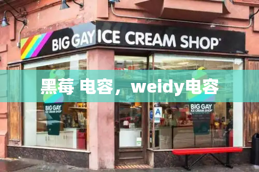 黑莓 电容，weidy电容-第1张图片-星选测评