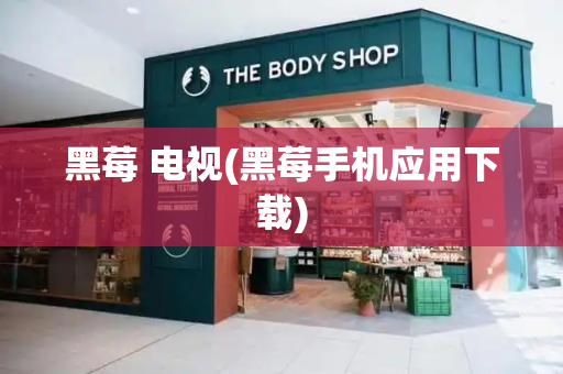 黑莓 电视(黑莓手机应用下载)