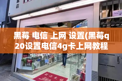 黑莓 电信 上网 设置(黑莓q20设置电信4g卡上网教程)