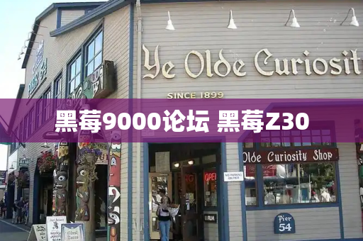 黑莓9000论坛 黑莓Z30-第1张图片-星选测评