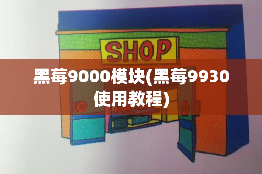 黑莓9000模块(黑莓9930使用教程)