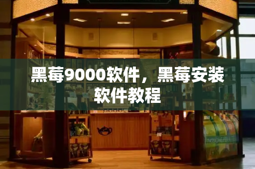 黑莓9000软件，黑莓安装软件教程-第1张图片-星选测评
