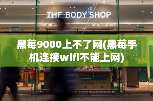 黑莓9000上不了网(黑莓手机连接wifi不能上网)-第1张图片-星选测评
