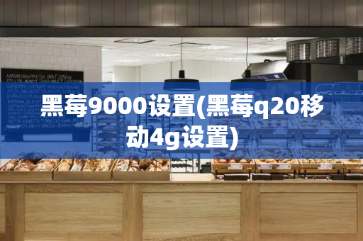 黑莓9000设置(黑莓q20移动4g设置)-第1张图片-星选测评