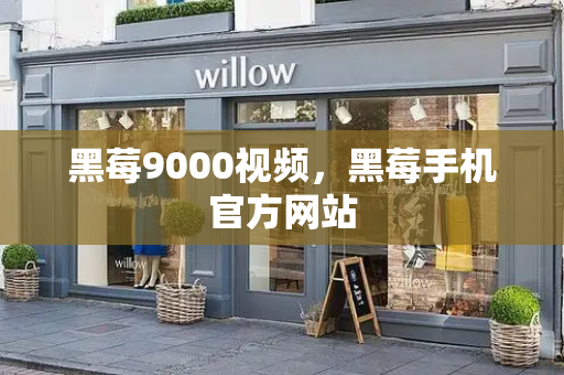 黑莓9000视频，黑莓手机官方网站-第1张图片-星选测评