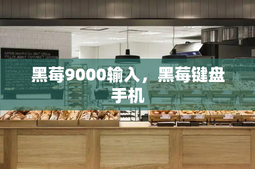 黑莓9000输入，黑莓键盘手机-第1张图片-星选测评