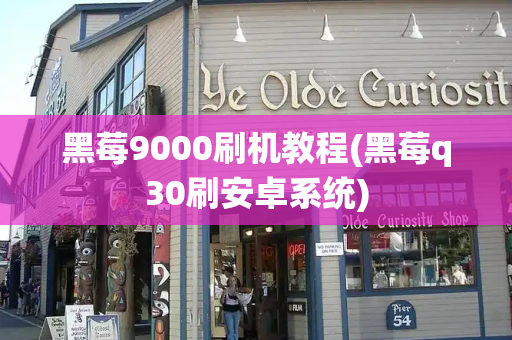 黑莓9000刷机教程(黑莓q30刷安卓系统)