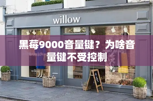 黑莓9000音量键？为啥音量键不受控制