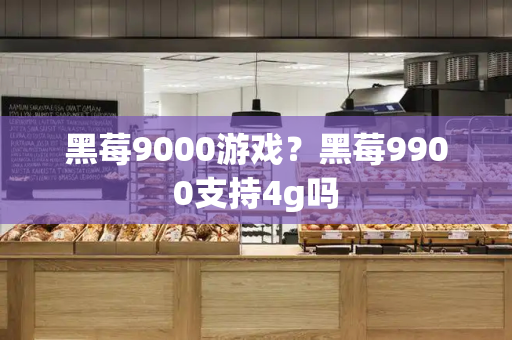 黑莓9000游戏？黑莓9900支持4g吗