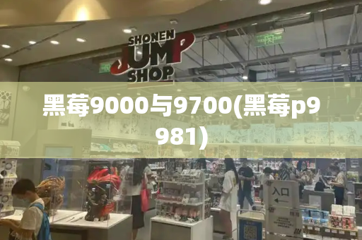 黑莓9000与9700(黑莓p9981)-第1张图片-星选测评