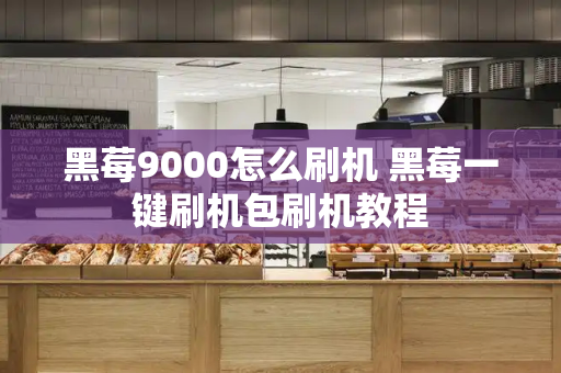 黑莓9000怎么刷机 黑莓一键刷机包刷机教程