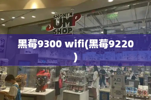 黑莓9300 wifi(黑莓9220)